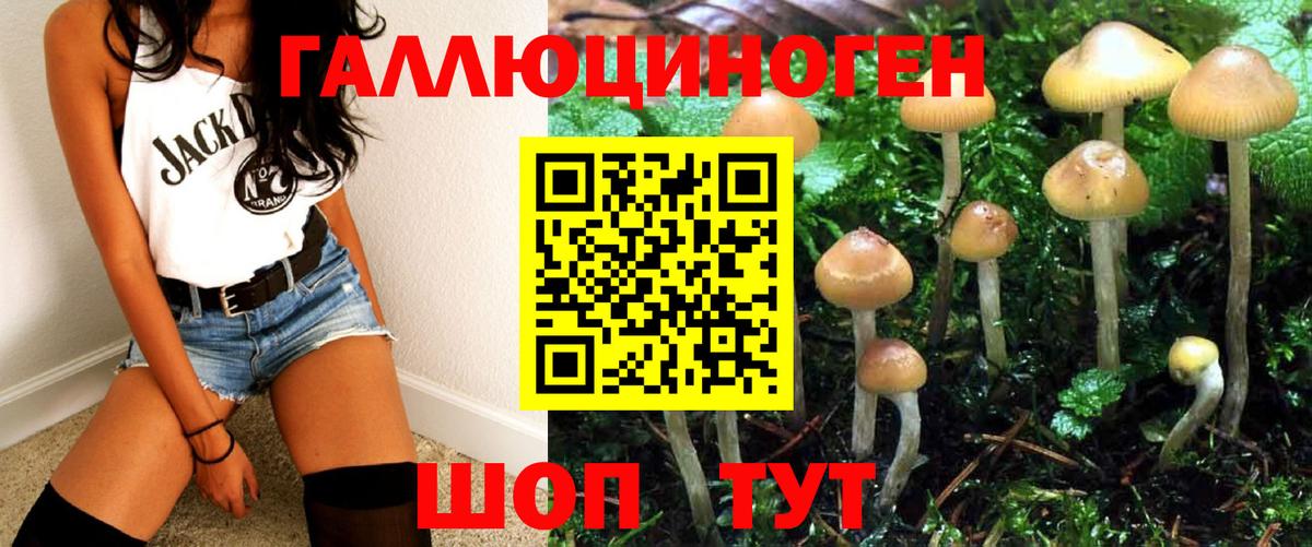 Псилоцибиновые грибы Psilocybe Грязи
