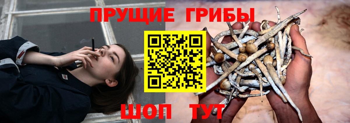 Грязи  Псилоцибиновые грибы Cubensis  Псилоцибиновые грибы мухоморы  Вход с VPN 